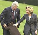 Bill, dog, Hillary