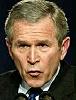 Bush explains his 'position'