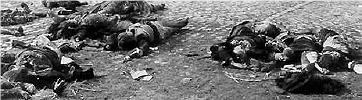 Dresden civilian casualties