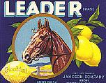 "Leader lemons"  crate label
