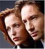 Scully and Mulder investigate "intelligent design"